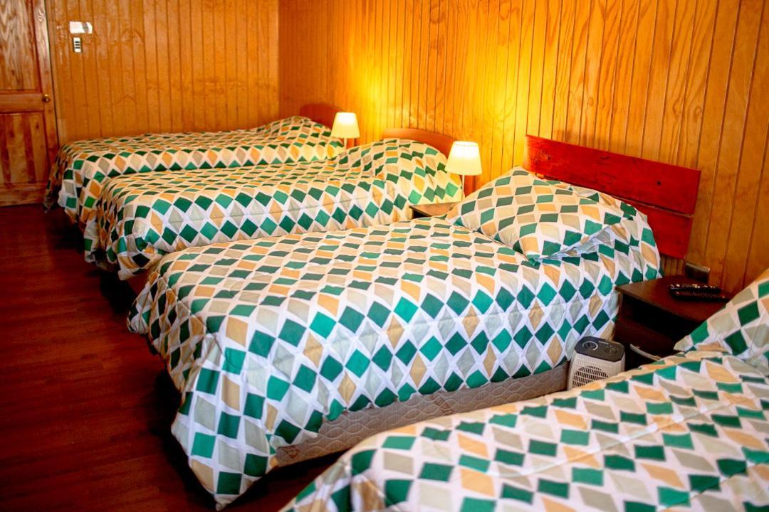 Roble Austral Hostal Coyhaique Eksteriør bilde